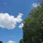 Jacqueline Bast - @jacqueline.bast.90 - Instagram