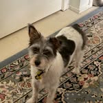 Jacqueline Batchelor - @jacqb2016 - Instagram