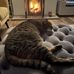 Jacqueline Batchelor - Facebook