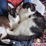 Jacqueline Beh - @jay_nixon_80 - Instagram
