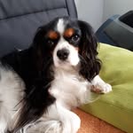 Jacqueline Bello - @jacqueline.bello.338 - Instagram