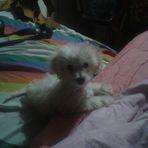 Jacqueline Bencomo - Facebook