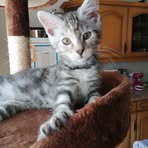 Jacqueline Bode - Facebook