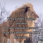 Jacqueline Casanova - @jacquelinecasanova71 - Instagram