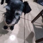 Jacqueline Casanova - @jacqueline.casanova.315 - Instagram
