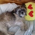Jacqueline Chappell - @chappell.jacqueline - Instagram