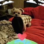 Jacqueline Christopher - @jacqueline.christopher.758 - Instagram