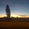 jac:) - @jacqueline.close15 - TikTok