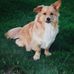 Jacqueline Cluney - Facebook