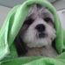 Jacqueline Cockerham - Facebook