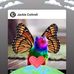 Jackie Cottrell - Facebook