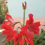 Jacqueline De Escoto - @jacquelinedeescoto - Instagram