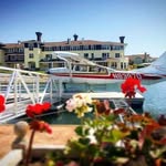 Jacqueline Dees - @picasa4000 - Instagram