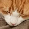 Jacqueline G - @jacqueline.grange - TikTok