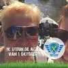 Jacqueline De Witte - @jacquelinedewitte1 - TikTok