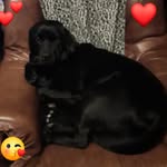 Jacqueline de Witte - @jacqueline.de.witte2 - Instagram