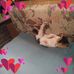 Jacqueline Dewitt - Facebook