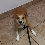 Jacqueline Dube - @dube6983 - Instagram