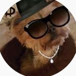 Jacqueline Dukes - @shefurrzs - Instagram