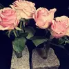 Jacqueline Ehrich - @jacquelineehrich - TikTok
