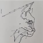 Jacqueline - @jacqueline.elders2021 - Instagram