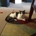 Jacqueline Ely - Facebook