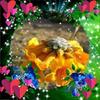 Jacqueline Ely Segovia - @jacqueline.ely.se - TikTok