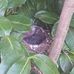 Jacqueline Faure - Facebook