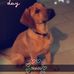 Jacqueline Faure - Facebook