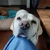 Jacqueline Feenstra Bakker - @jacqueline.feenst1 - TikTok