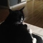 Jacqueline Findlay - @jacqueline.findlay - Instagram