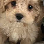 Jacqueline Findlay - @findlay.jacqueline - Instagram