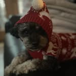 Jacqueline Fish - @jacqueline__fish - Instagram
