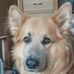 Jacqueline Fish - Facebook