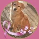 Jacqueline Fleury - Facebook