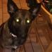 Jacqueline Gerard - Facebook