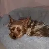 jacquelinegerard2 - @jacquelinegerard2 - TikTok