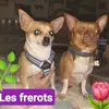 jacquelinegerardd - @jacquelinegerardd - TikTok