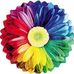 Jacqueline Goss - Facebook