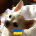 Jacqueline Hamel - Facebook