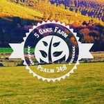 Jacqueline Head - @fiveoaksfarmstn - Instagram