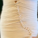Jacqueline Hung - @allaboutmama61 - Instagram