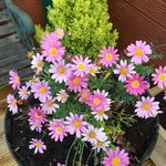 Jacqueline Hunter - @jacquelinehunter4042 - Instagram