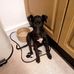 Jacqueline Hurd - Facebook