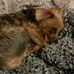 Jacqueline Hutton - Facebook