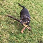 Jacqueline Hutton - @jacqueline.hutton.568 - Instagram