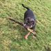 Jacqueline Hutton - Facebook