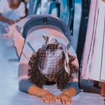 Jacqueline John - @jacque_luxelooks - Instagram