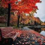 Jacqueline Kahn - @jacqueline.kahn - Instagram