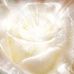 Jacqueline Kahn - Holistic Services - Facebook